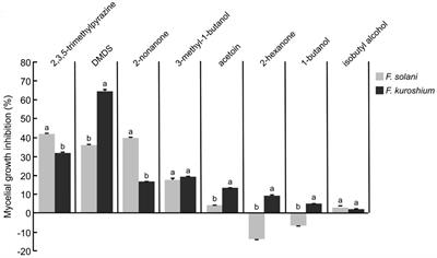 Biocontrol and plant growth promoting traits of two avocado rhizobacteria are orchestrated by the emission of diffusible and volatile compounds